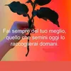 cielo285