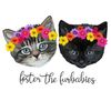 fosterthefurbabies