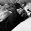 leonye_