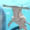 isabellacontrada