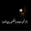 hnassaied40