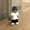 .jxdonn