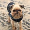 sproutthegriff