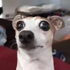 st0le_