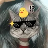lth_htran