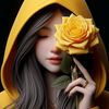 sidkhan733
