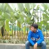 muhammad_haris_23