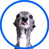 tikatheiggy