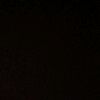 callme_molis