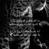 shekah_qahtan