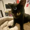 uwubanhbonglan
