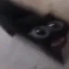 shvabrik_691