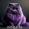 kirillchebupela1.0