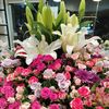 خطاط الورد