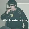 dazlyons1