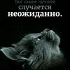 user27qbk2wf3a