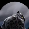 mkxoshnw1