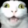 pidoras_uebok_gnil