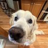nathan_pickles