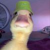 allgeier_eli