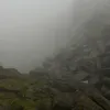joe_d_hodder