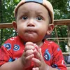 shasaarsya