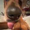 gretchenfetchenwieners