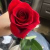 lovetoshyne