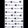 evan_thesimp