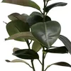 silviaturcin