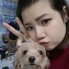 littledoggiez