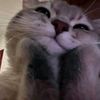 moony_lov