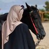 fatehahmad38