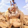 alwadh_wadh