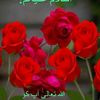 shaban7777934