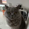burninanditchinxo