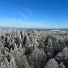 swissliving