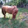 iuliancojocaru754