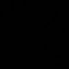 966s555