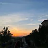 calledlivia