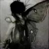 fairy.with.elf.ears333