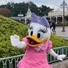 44282qqq