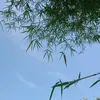nenk_yana04