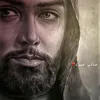 dp_lz