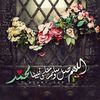 user61zmkr9l8o