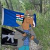 vietnamwarcollector