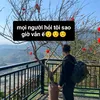 xinchaoem4953