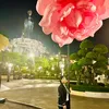 daothithanhha1308