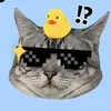 julycute2468