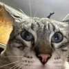 msnaurway